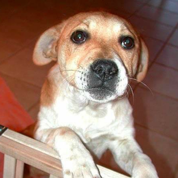 Thriftyminded's upcoming thoughtfully curated live shows - Picture 7 of 9